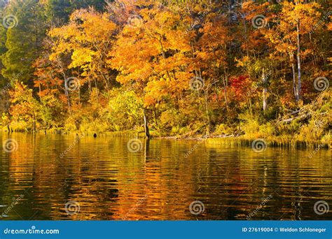 Autumn Trees Reflected In Lake Stock Photo Image Of Forest Shoreline