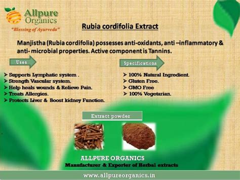 Rubia Cordifolia Extract Manufacturer By Allpure Organics
