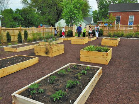 Joys of Raised Bed Gardening – Poolesville Seniors