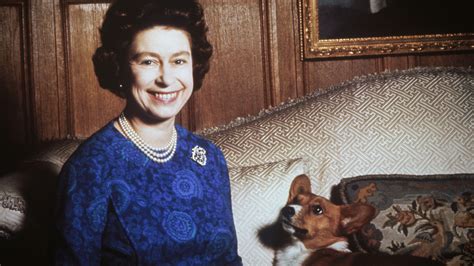 Queen Elizabeth S Last Corgi Willow Has Sadly Died