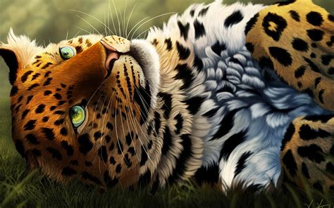 Personalisieren sie ihren homescreen mit winterbilder! Die 79+ Besten Tiere Hintergrundbilder