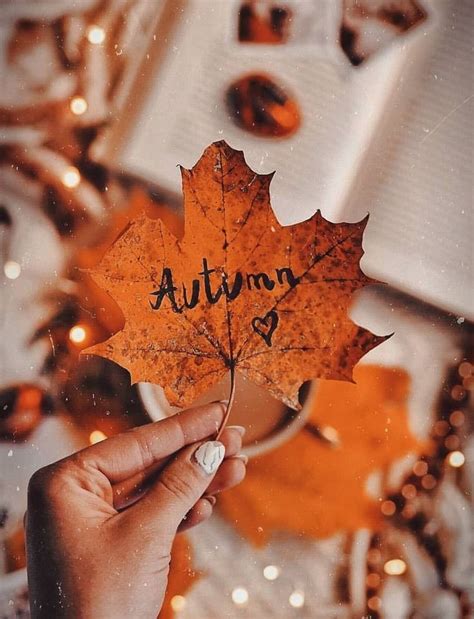 Autumn ♥ Leaves Autumn Leaves Wallpaper Autumn Photography Fall