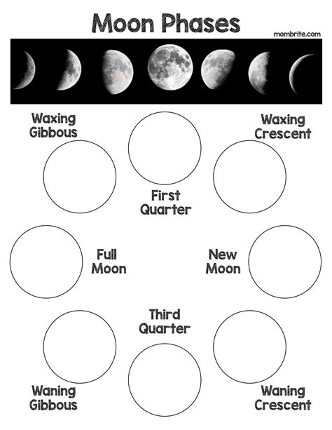 Phases Of The Moon Worksheets With Answers