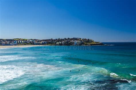 Bondi Beach Stock Image Image Of Surfer Blue Australia 77436557