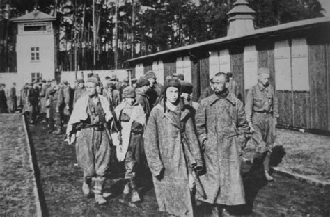 les prisonniers de guerre soviétiques livrés dans un camp de concentration de sachsenhausen ⋆