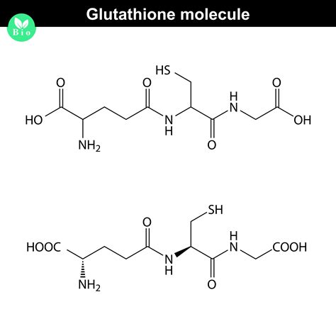 GLUTATHIONE - A LIFE SUSTAINING MOLECULE - MindBody Medicine