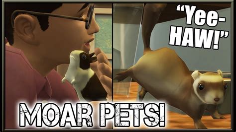 Bunnies Ferrets And More Small Pets Mod The Sims 4 My First Pet