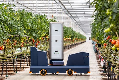 Plantalyzer Tomato Monitoring Robot For Harvesting Forecast Wur