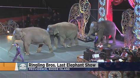 Ringling Brothers Circus Elephants Perform Last Show Youtube
