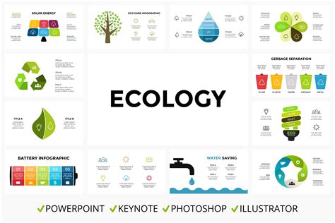 Ecology Infographic Templates Description Master Bundles