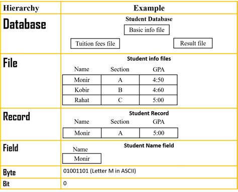 Sixth Chapter Lesson Concept Of Database