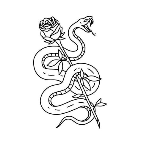 Snake And Roses Doodle Tattoo Tattoo Drawings Tattoo Flash Art