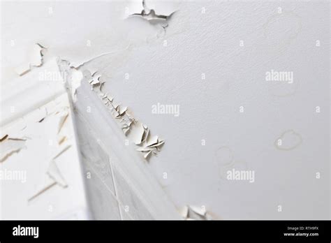 Swelling Leaking Of Whitewash And Plaster On Ceiling Of Dwelling Due To