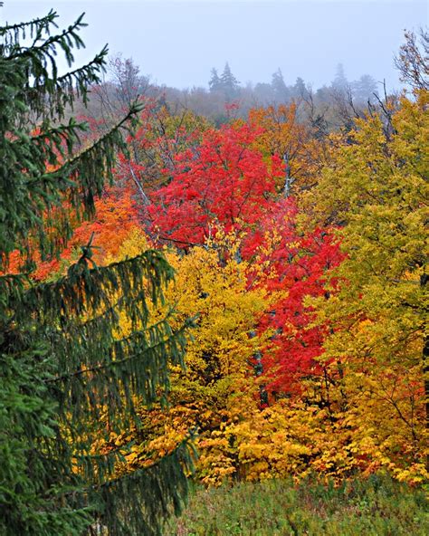 Killington Resort Beautiful Fall Colors In Vermont Dgangle Flickr