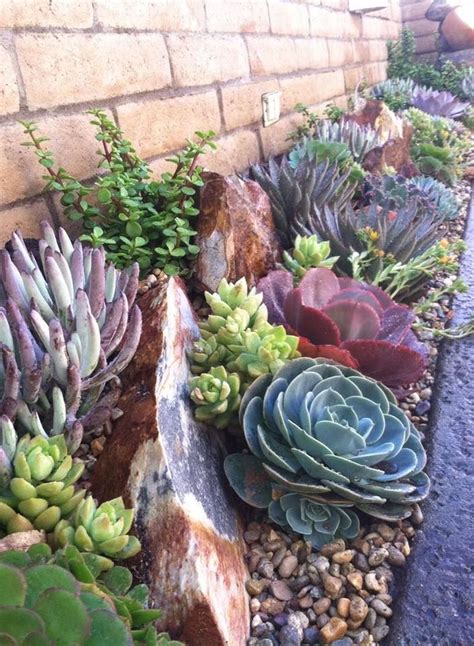 Easy And Cheap Ways To Make Succulent Garden In Your Backyard 33