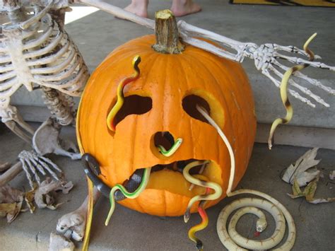Pumpkin Snakes Halloween Alliance
