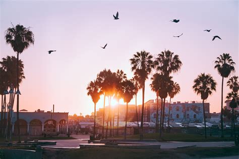 60 Venice Beach Los Angeles Wallpaper Wallpapersafari
