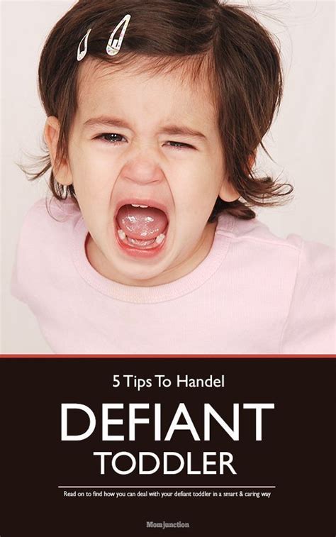 5 Effective Tips That Will Help You Deal With Your Defiant Toddler