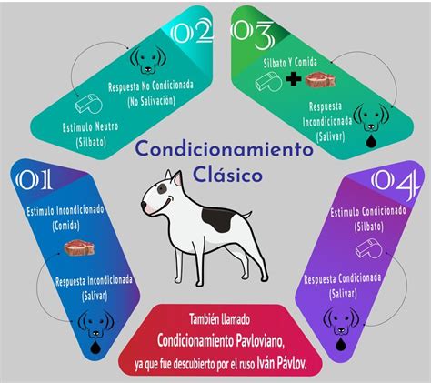 20 Ejemplos De Condicionamiento Clásico Y Operante Condicionamiento