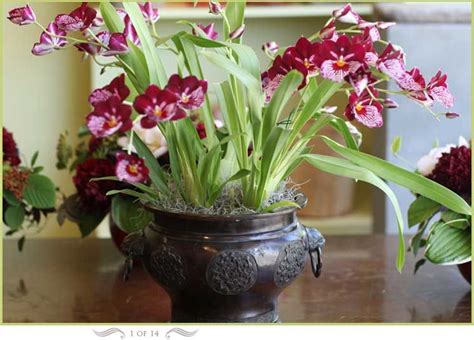 Maybe you would like to learn more about one of these? Florali - Fine Flowers - Florist - Walnut Creek, Lafayette ...
