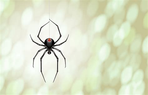 When a mysterious figure starts exploiting black widow's murky past, natasha must go underground and off the grid! Robot Black Widow Spider Hanging From A Single Web Line ...