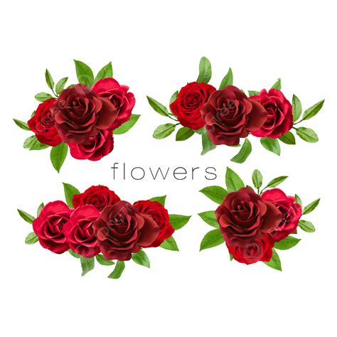 A Group Of Distinctive Red Flowers Rose Border Rose Wreath Rose Png And Vector With