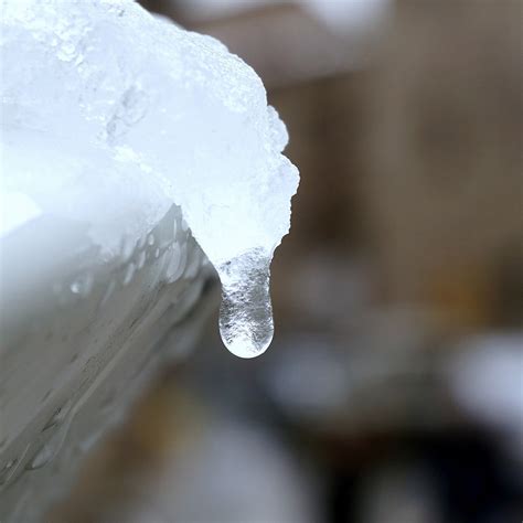 Drop Freezeicesnowcoldwinter Free Image From