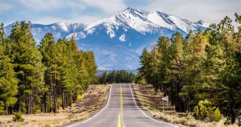 21 Best Things To Do In Flagstaff Arizona