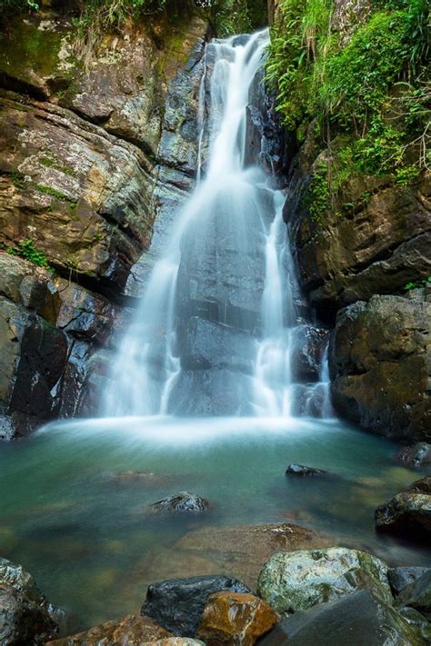 Puerto rico pressure cleaners, inc. #El Yunque Is a Must Stop While On #Vacation. La Mina ...