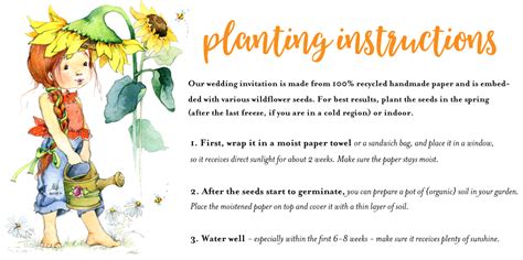 How To Plant Your Seeded Paper Invitations How To