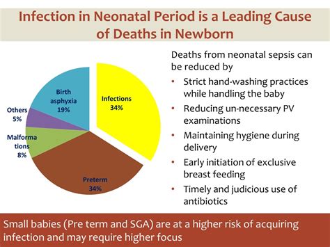Ppt Prevention Identification And Management Of Infection In Newborn