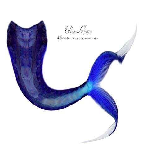 Mermaid Tail Png Immagine Png All