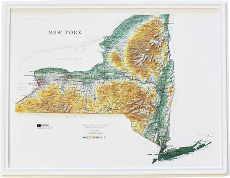 Buy New York Relief Map Flagline