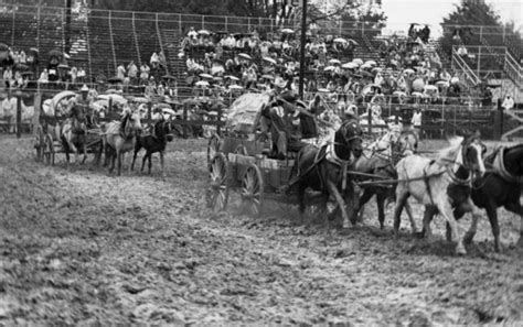 Saddle Up For The Texas Prison Rodeo Bayou City History