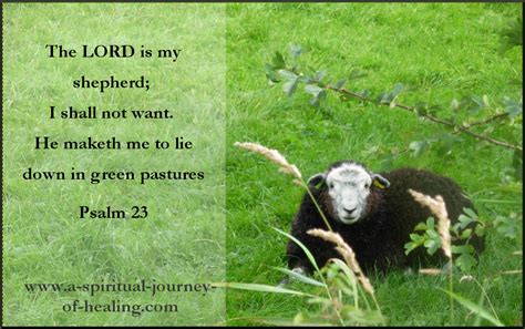 He aleadeth me beside the still. Psalm 23 - The Lords My Shepherd Prayer
