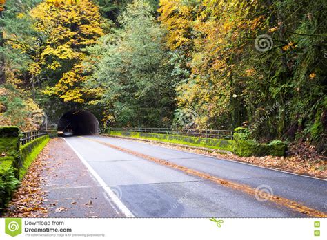 Beautiful Autumn In Forest With Road And Tunnel Stock Photo Image Of