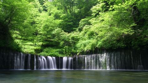 1920x1080 Resolution Green Leafed Tree Waterfall Nature Trees Hd