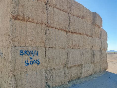 Dry Cowblender Quality Hay Bc 22 25 6 Bryan And Sons