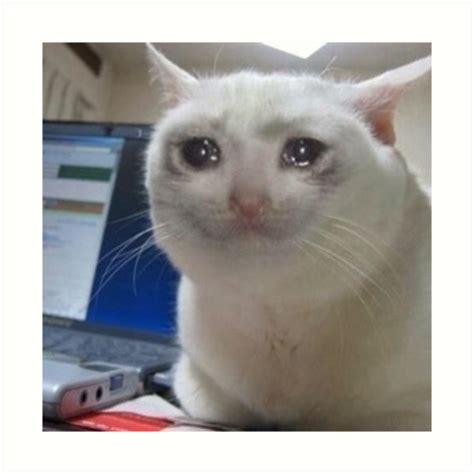 Lámina artística Llorando gato meme de Carou Redbubble