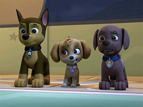 Pin Auf Paw Patrol