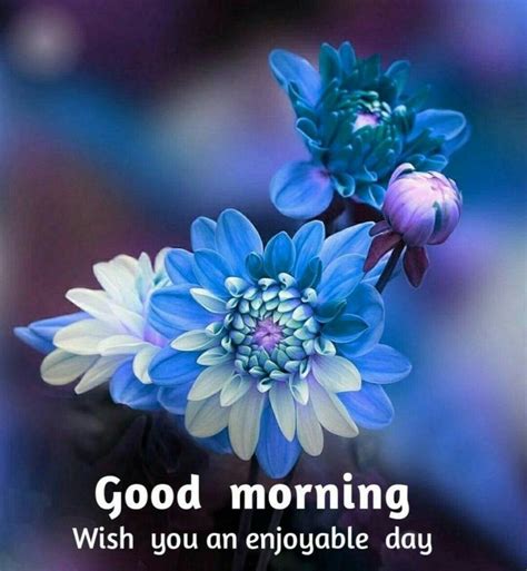 They have such a power to brighten our day and the day of our friends when we stumble upon them while scrolling our news feed! Pin by Priya on mornings | Beautiful flowers, Amazing ...