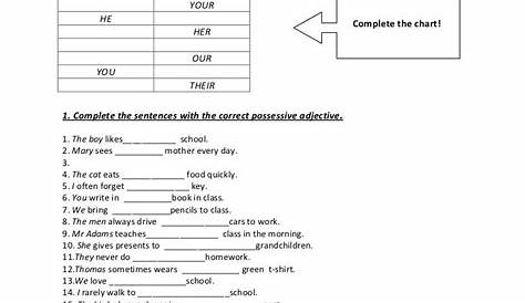 worksheet. Spanish Possessive Adjectives Worksheet. Grass Fedjp