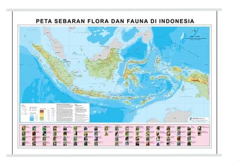 Peta dunia flora dan fauna. Jual Peta Sebaran Flora Dan Fauna di lapak bunga duz4