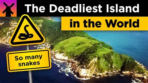 The Deadliest Island In The World Snake Island Explained Nebula
