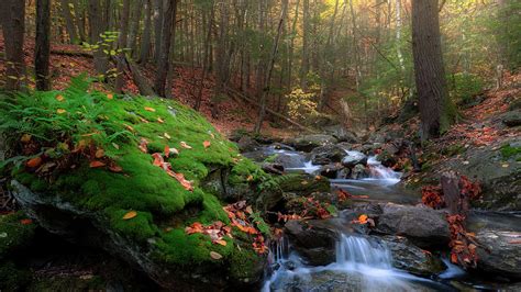 Autumn Mountain Stream Photograph By Bill Wakeley Fine Art America