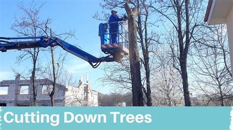 Cutting Down Trees With A Bucket Truck Youtube