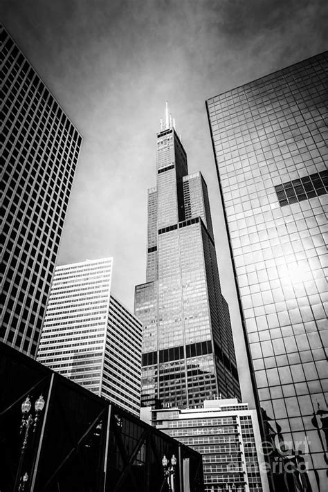 Chicago Willis Sears Tower In Black And White Photograph By Paul Velgos