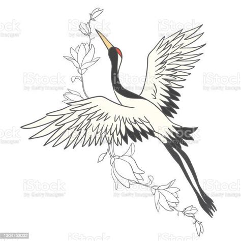 Japanese Crane Bird Isolate On A White Background Stock Illustration