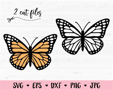 Butterfly Svg Monarch Butterfly Cut File Butterflies Outline Etsy