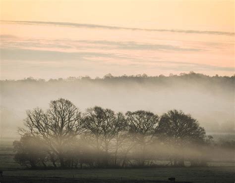 Low Mist Passes Through Trees During Sunrise On The Somerset Levels